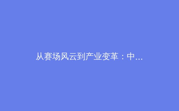从赛场风云到产业变革：中国体育的全球化征程与未来挑战 - 2