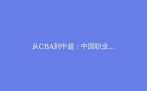 从CBA到中超：中国职业体育的转型阵痛与未来之路 - 2